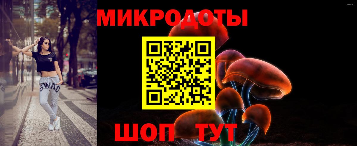 Галлюциногенные грибы Psilocybe Кемерово