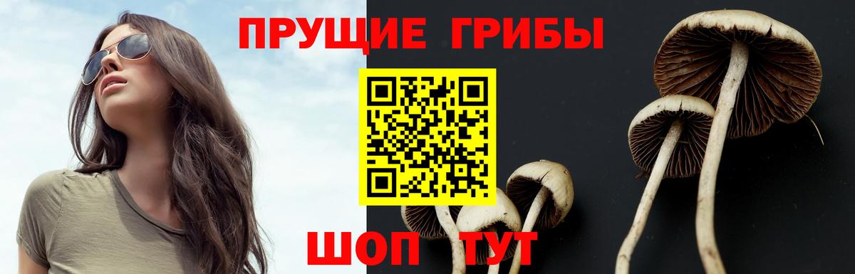 где купить наркоту  Псилоцибиновые грибы прущие грибы  Вход с VPN  Кемерово 